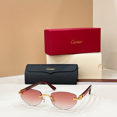 Cartier Sunglasses — 6