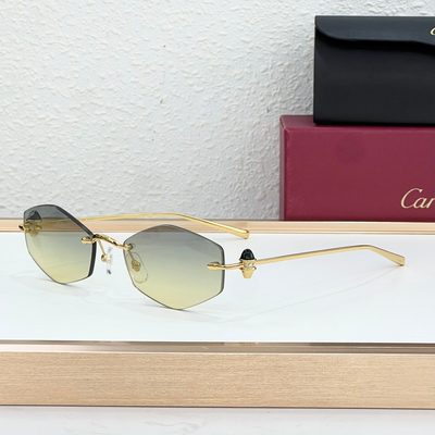 Cartier Sunglasses — 4