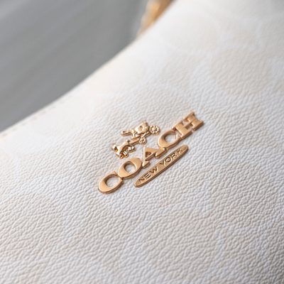 Coach Bag — 28