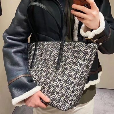 Loewe Bag — 6
