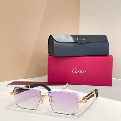 Cartier Sunglasses — 4