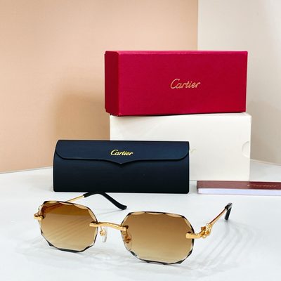 Cartier Sunglasses — 8