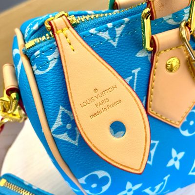 Louis Vuitton Bag — 5