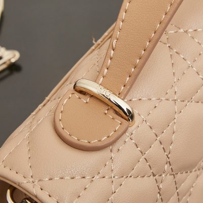 Dior Bag — 7