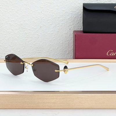 Cartier Sunglasses — 7