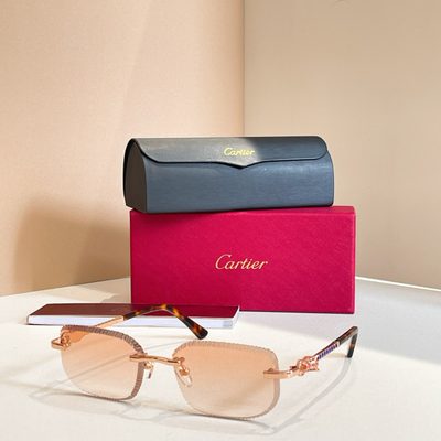 Cartier Sunglasses — 5