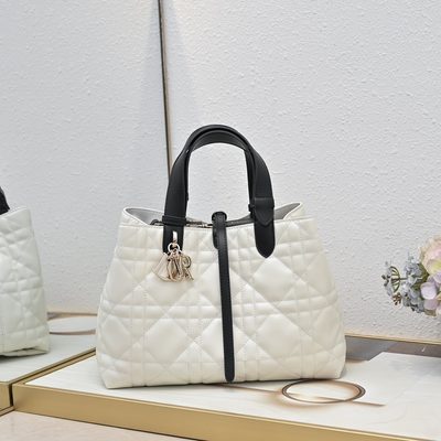 Dior Bag — 4