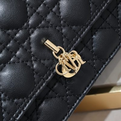 Dior Bag — 4
