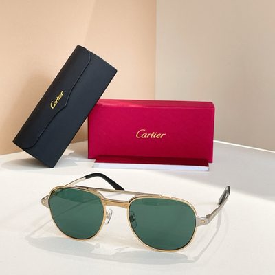 Cartier Sunglasses — 7
