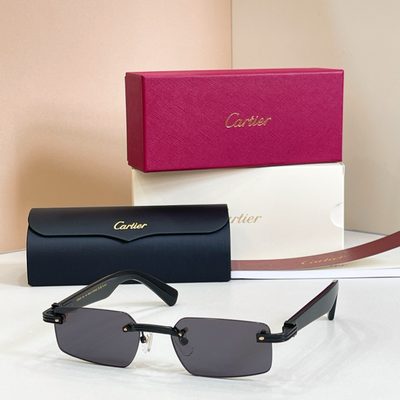 Cartier Sunglasses — 5