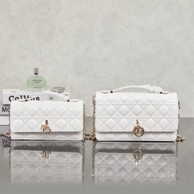 Dior Bag — 7