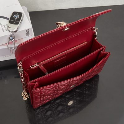 Dior Bag — 9