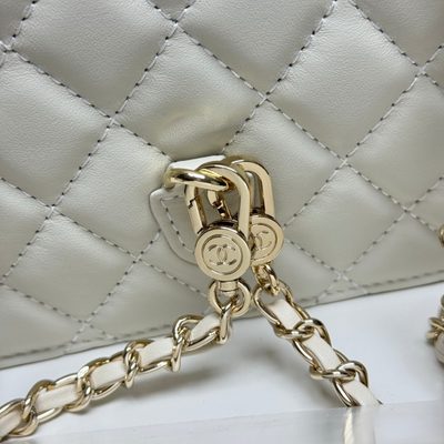 Chanel Bag — 6