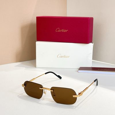 Cartier Sunglasses — 6