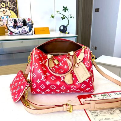Louis Vuitton Bag — 4