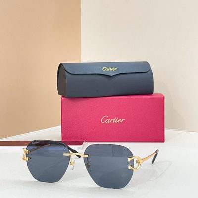 Cartier Sunglasses — 4