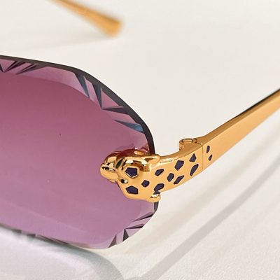 Cartier Sunglasses — 7