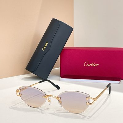 Cartier Sunglasses — 6