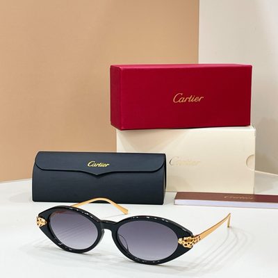 Cartier Sunglasses — 5