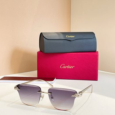 Cartier Sunglasses — 5