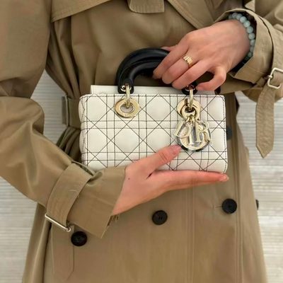 Dior Bag — 5