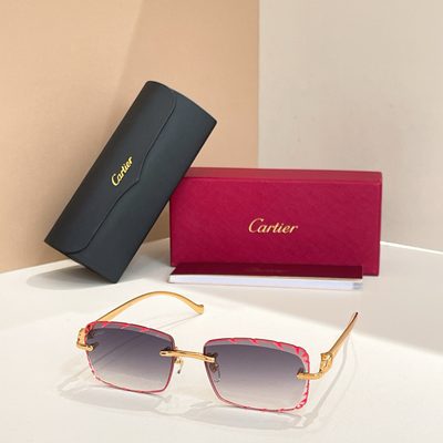 Cartier Sunglasses — 4
