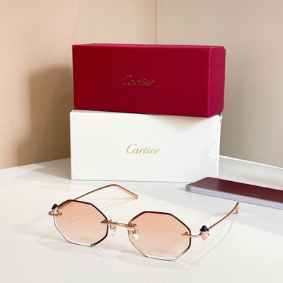 Cartier Sunglasses — 5