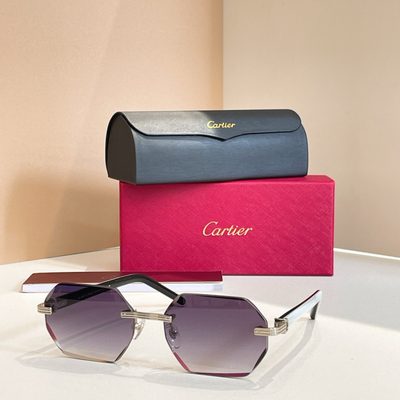 Cartier Sunglasses — 6