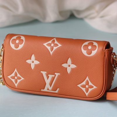 Louis Vuitton Bag — 6