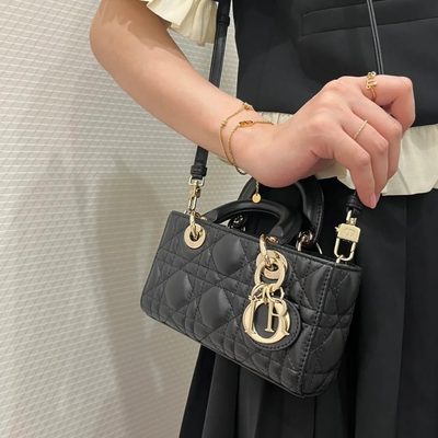Dior Bag — 6