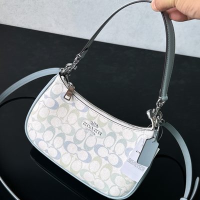 Coach Bag — 3