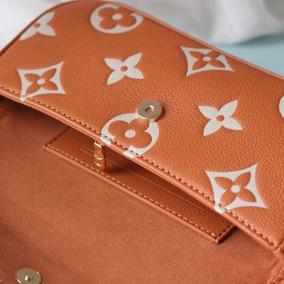 Louis Vuitton Bag — 9
