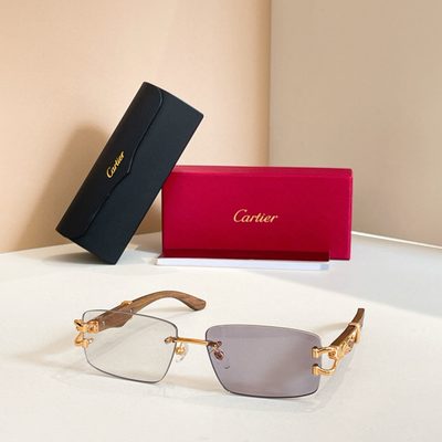 Cartier Sunglasses — 8