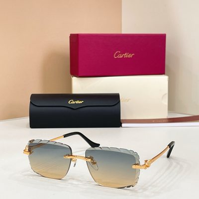 Cartier sunglasses — 4
