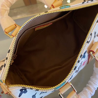 Louis Vuitton Bag — 8