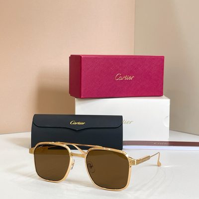 Cartier Sunglasses — 6