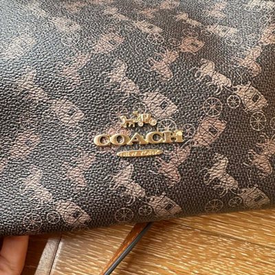 Coach Bag — 6