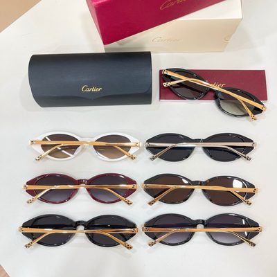 Cartier Sunglasses — 9