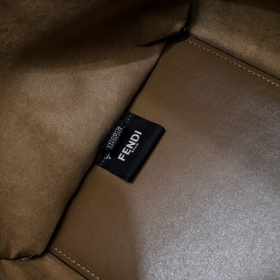 Fendi Bag — 5