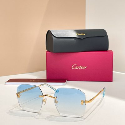 Cartier Sunglasses — 8