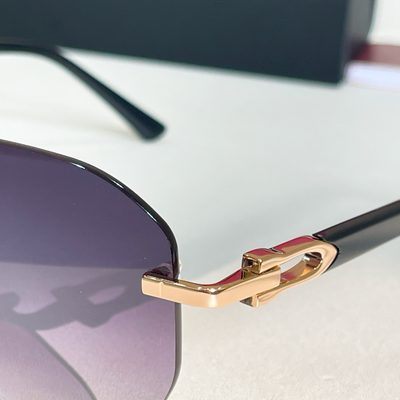 Cartier Sunglasses — 6