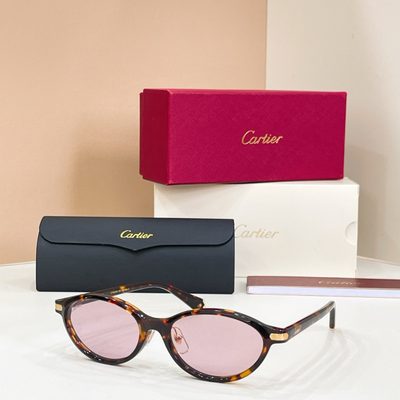 Cartier Sunglasses — 6