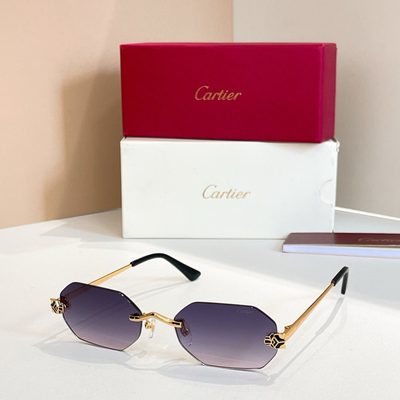 Cartier Sunglasses — 3