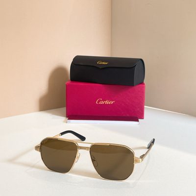 Cartier Sunglasses — 3