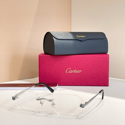 Cartier Sunglasses — 9