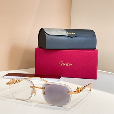 Cartier Sunglasses — 8