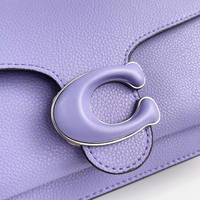 Coach Bag — 12