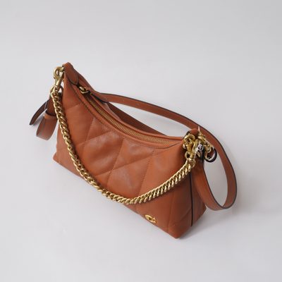 Coach Bag — 8