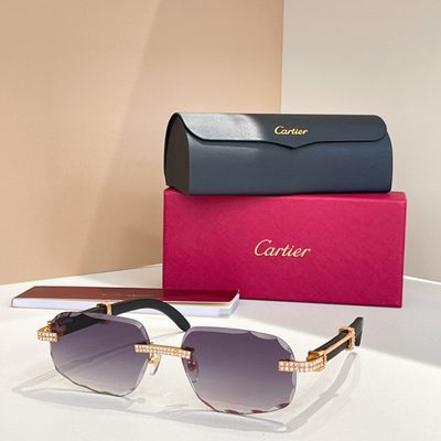 Cartier Sunglasses — 7