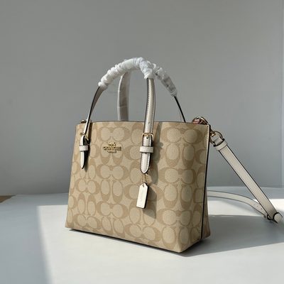 Coach Bag — 29